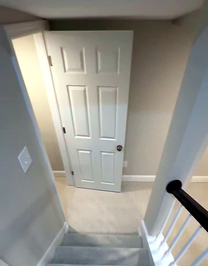 New carpeted basement stairs with white balusters and a dark handrail in an Eastover, Charlotte basement remodel
